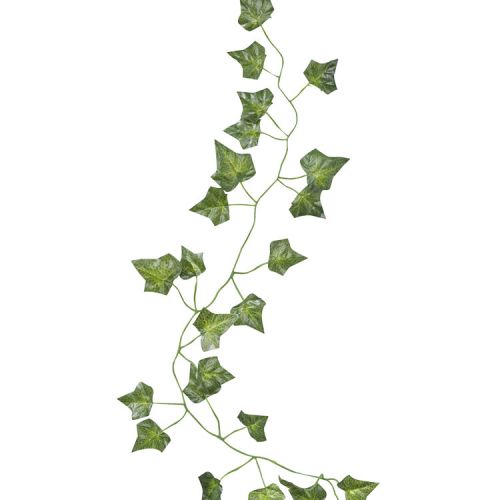 Decoratieve klimop 2m (5st) Beautiful Botanics Ginger Ray