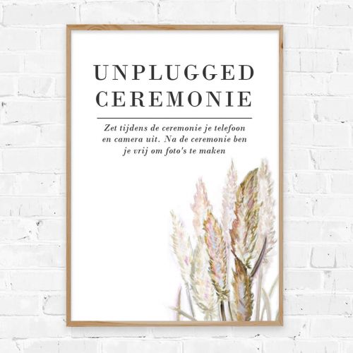 Poster unplugged ceremonie pampas gras