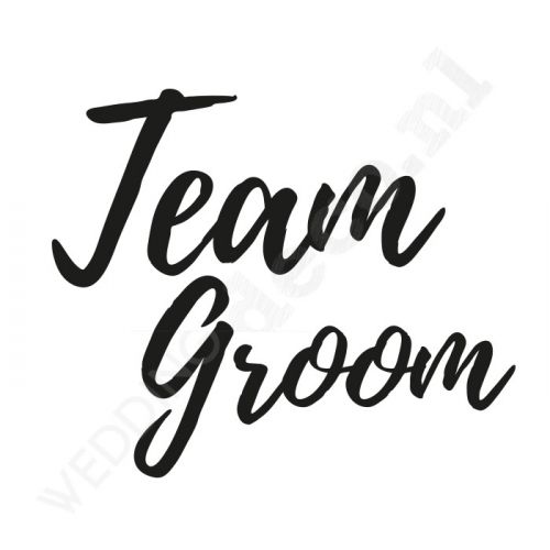 T-shirt Team Groom Festival