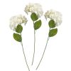 Decoratiebloemen hortensia wit Botanical Wedding Ginger Ray