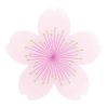 Servetten Cherry Blossom (20st)